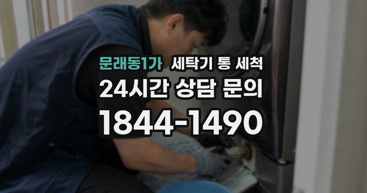 문래동1가 세탁기 통 세척