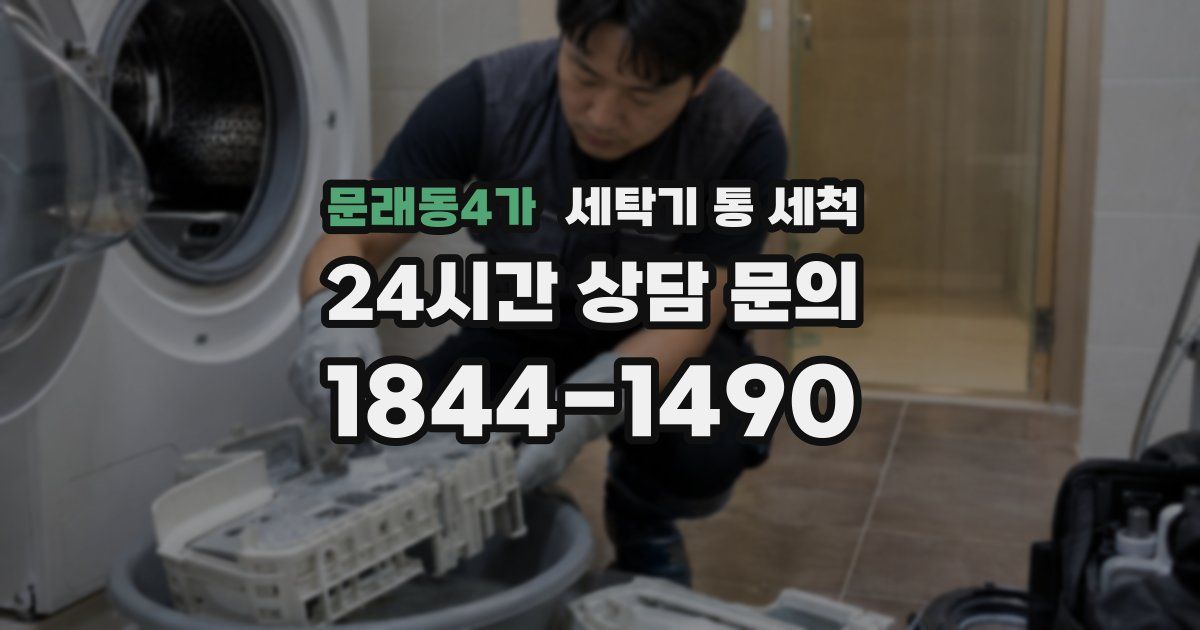 문래동4가 세탁기 통 세척