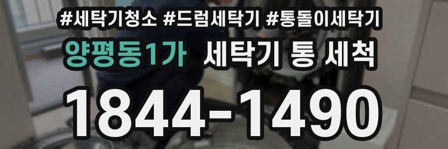 양평동1가 세탁기 통 세척