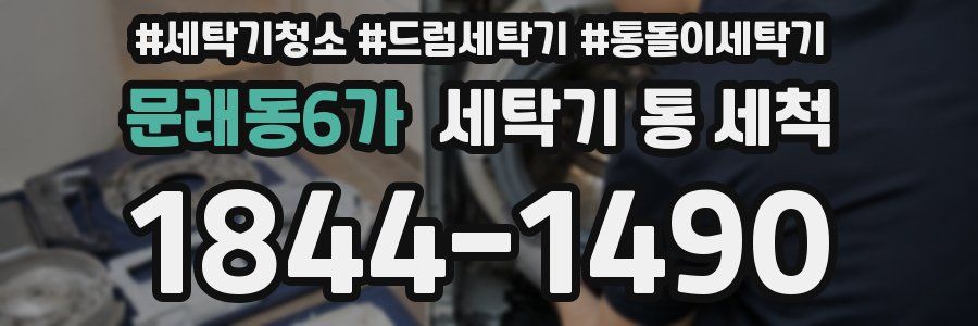 문래동6가 세탁기 통 세척