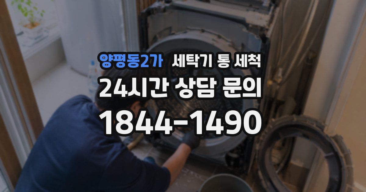 양평동2가 세탁기 통 세척