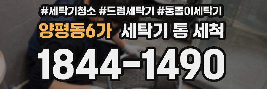 양평동6가 세탁기 통 세척