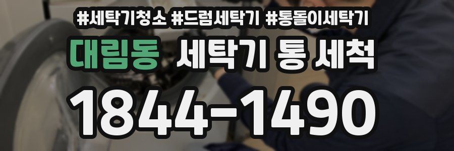 대림동 세탁기 통 세척
