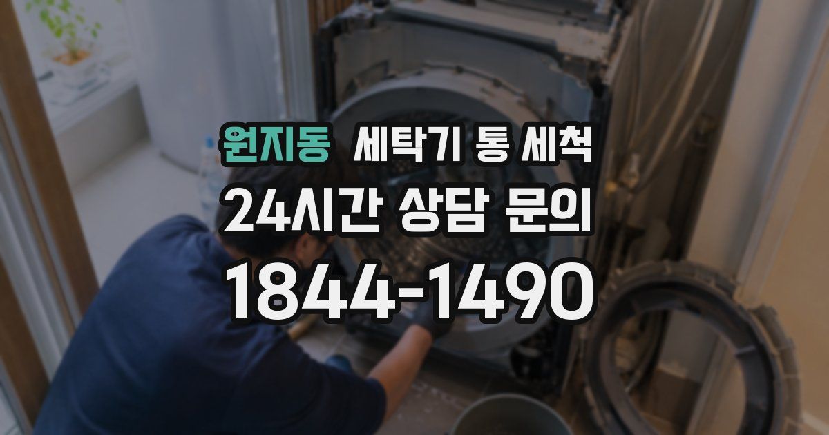 원지동 세탁기 통 세척