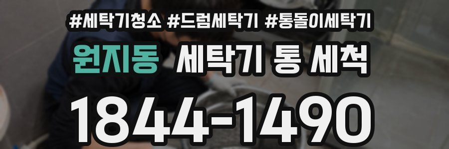 원지동 세탁기 통 세척