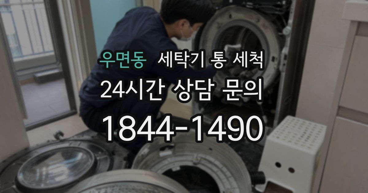 우면동 세탁기 통 세척