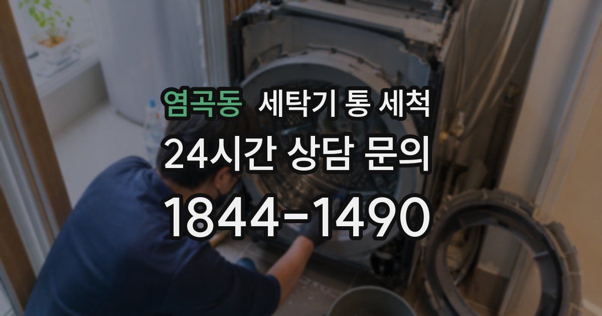 염곡동 세탁기 통 세척