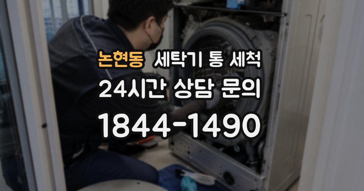 논현동 세탁기 통 세척
