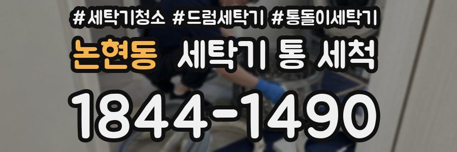 논현동 세탁기 통 세척