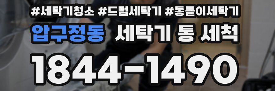압구정동 세탁기 통 세척
