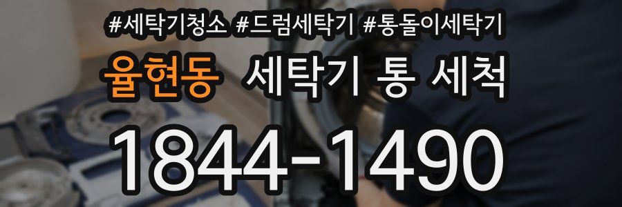 율현동 세탁기 통 세척