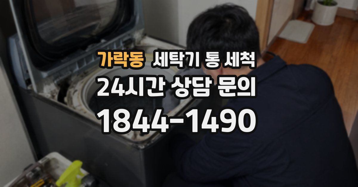 가락동 세탁기 통 세척
