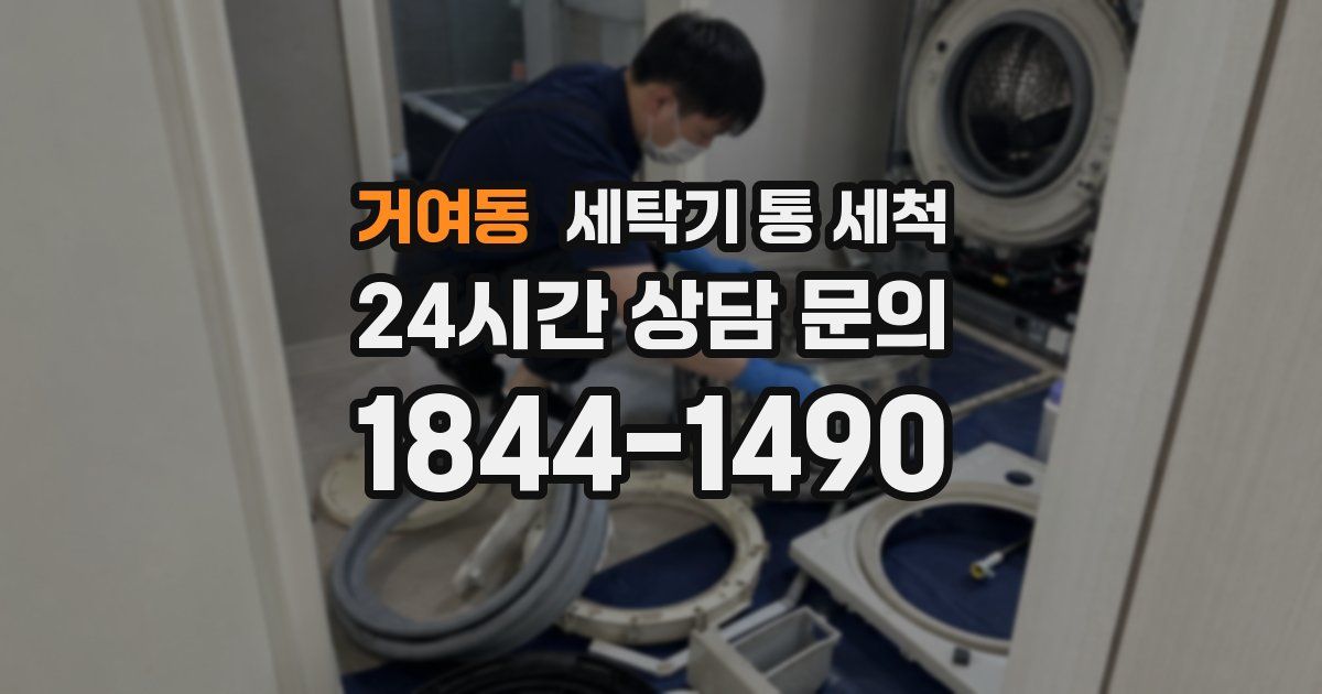 거여동 세탁기 통 세척