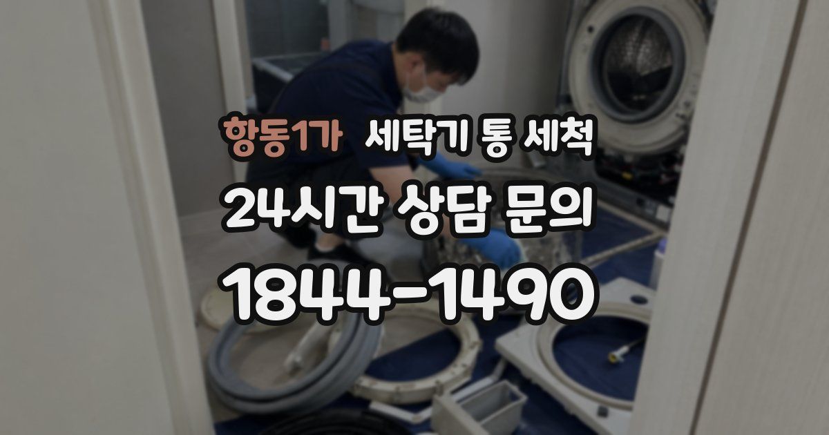 항동1가 세탁기 통 세척