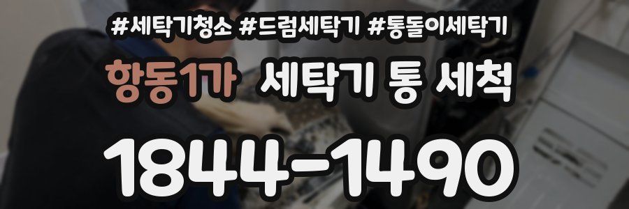 항동1가 세탁기 통 세척