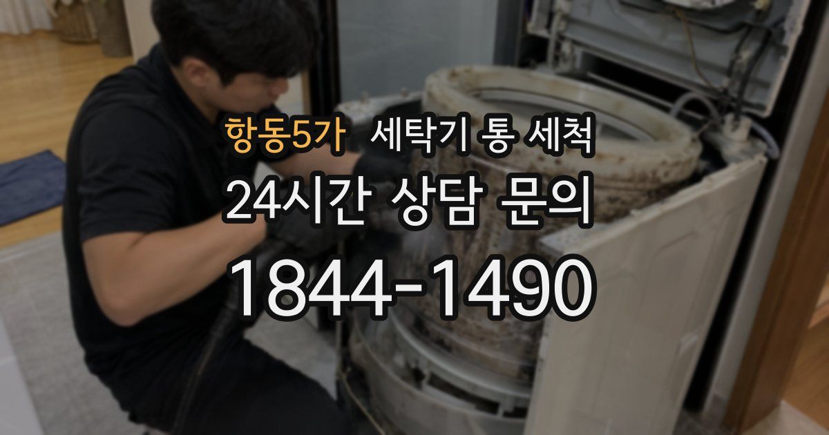 항동5가 세탁기 통 세척