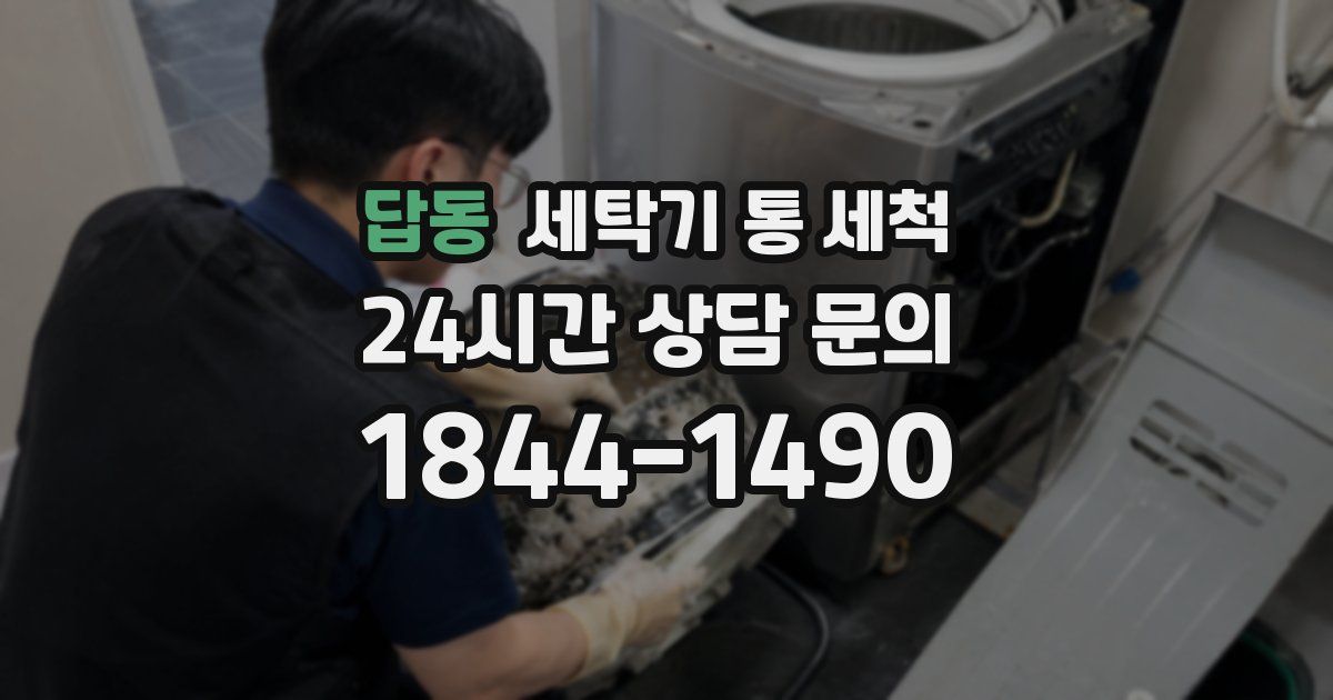 답동 세탁기 통 세척