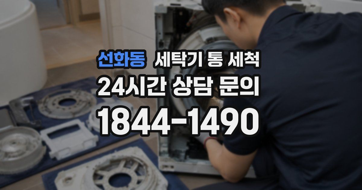 선화동 세탁기 통 세척