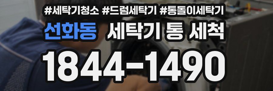 선화동 세탁기 통 세척