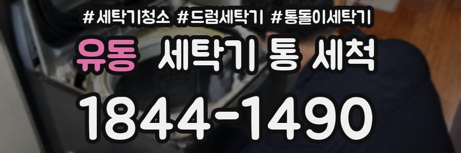 유동 세탁기 통 세척