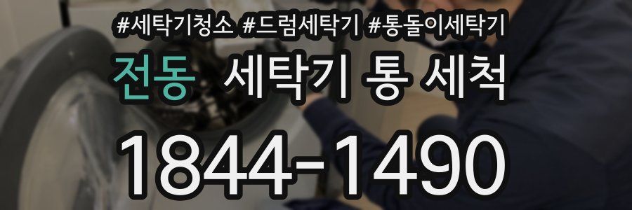 전동 세탁기 통 세척