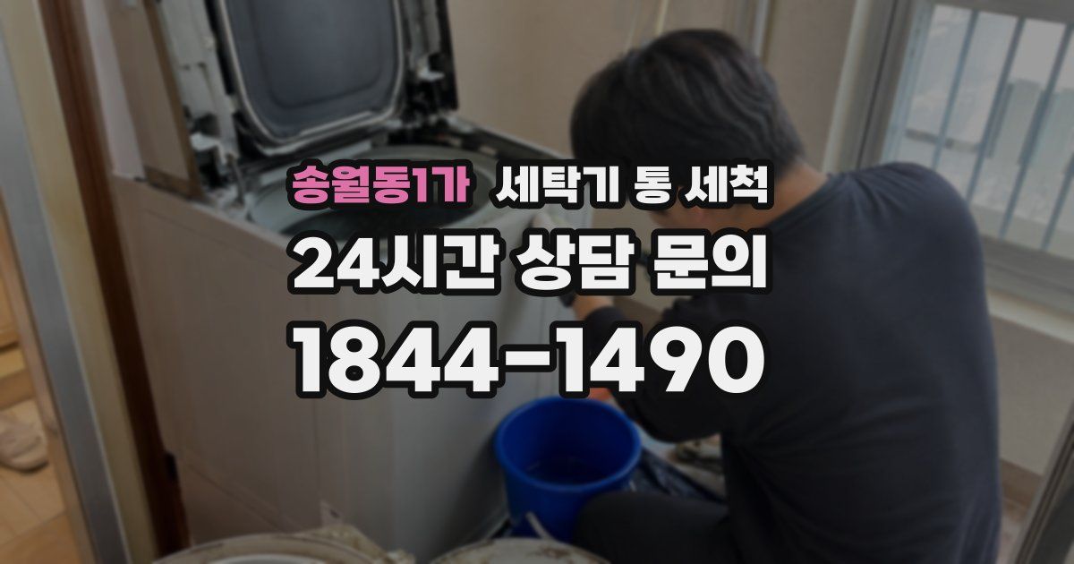 송월동1가 세탁기 통 세척