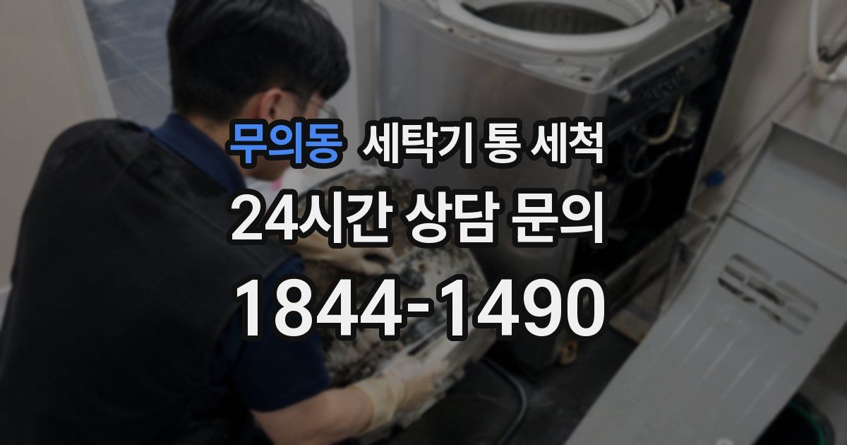 무의동 세탁기 통 세척