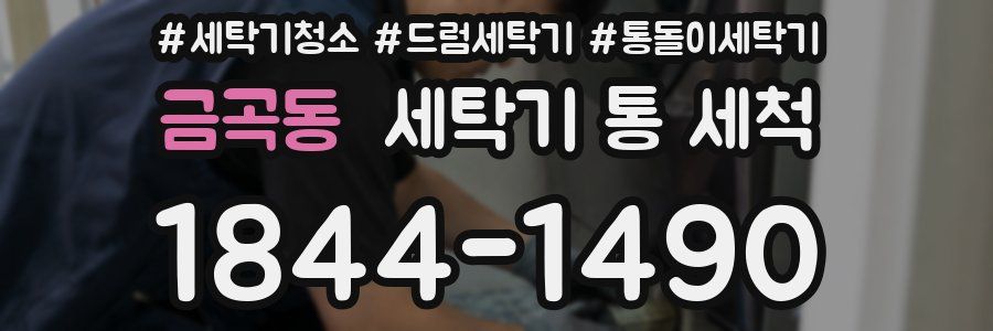 금곡동 세탁기 통 세척