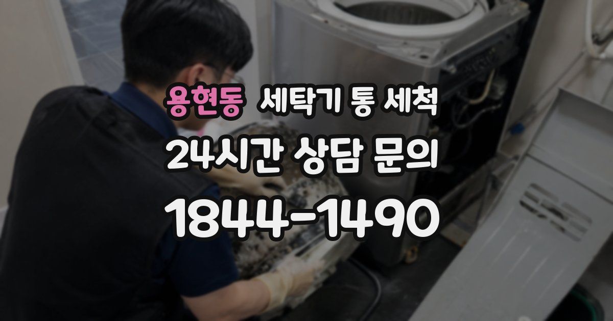 용현동 세탁기 통 세척