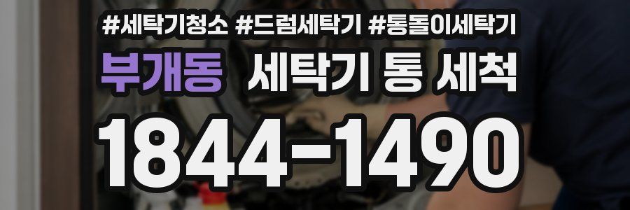 부개동 세탁기 통 세척