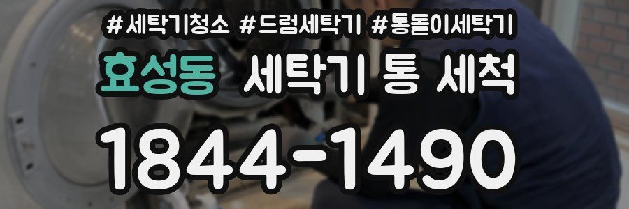 효성동 세탁기 통 세척