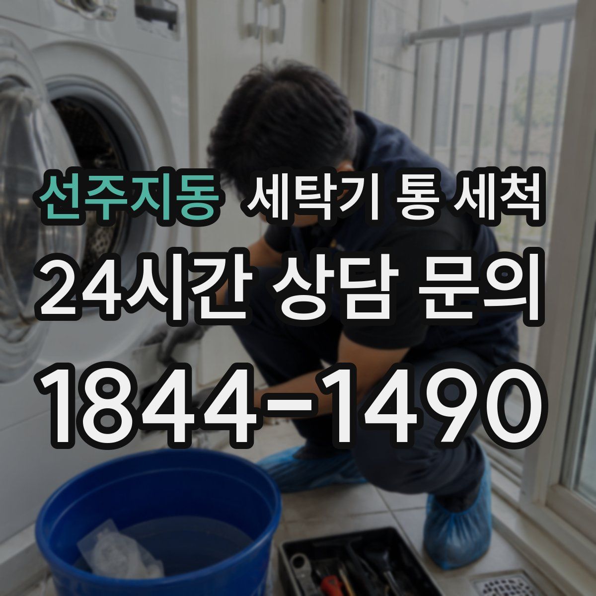 선주지동 세탁기 통 세척