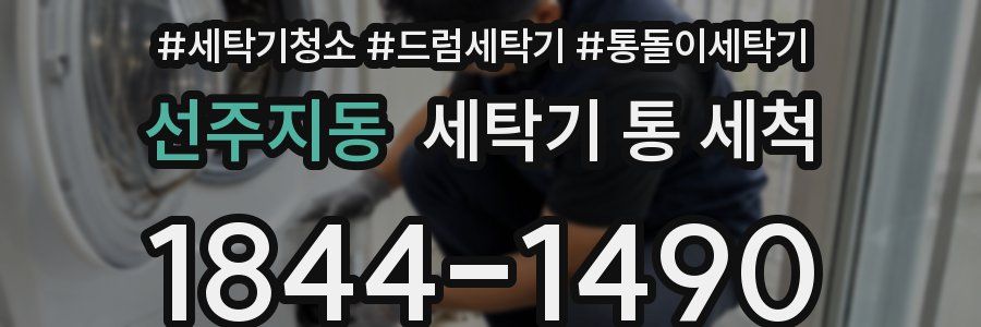 선주지동 세탁기 통 세척