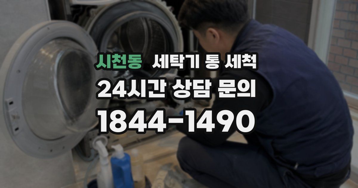 시천동 세탁기 통 세척