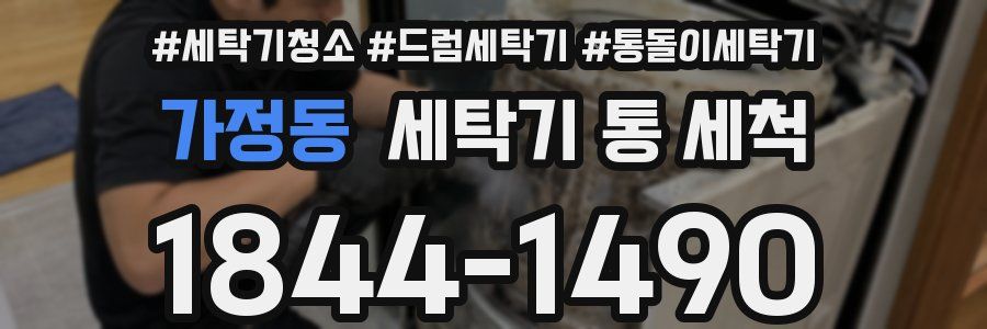 가정동 세탁기 통 세척