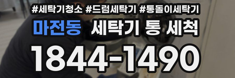 마전동 세탁기 통 세척