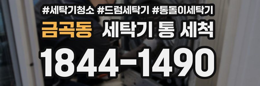 금곡동 세탁기 통 세척