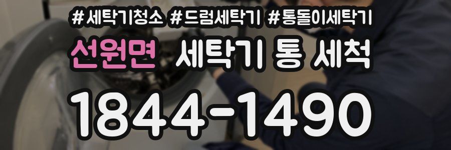 선원면 세탁기 통 세척
