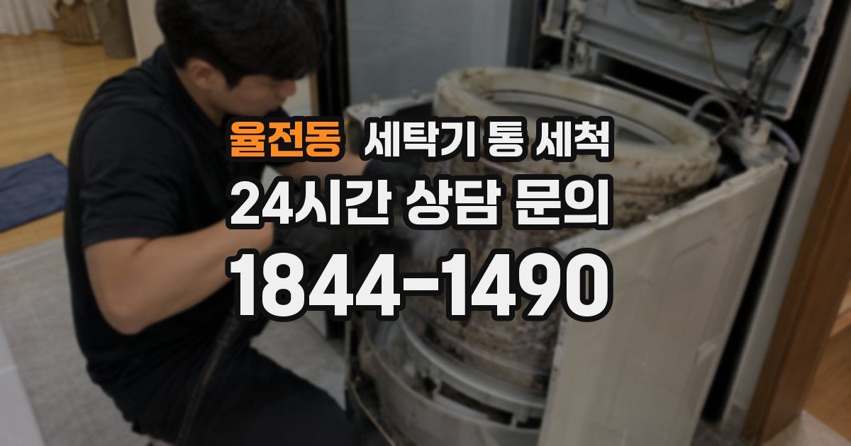 율전동 세탁기 통 세척