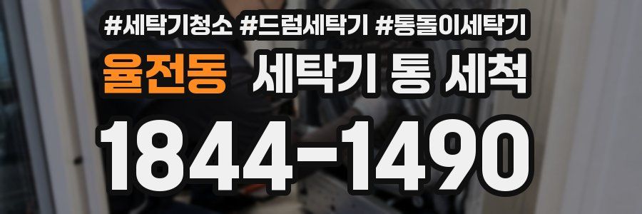 율전동 세탁기 통 세척