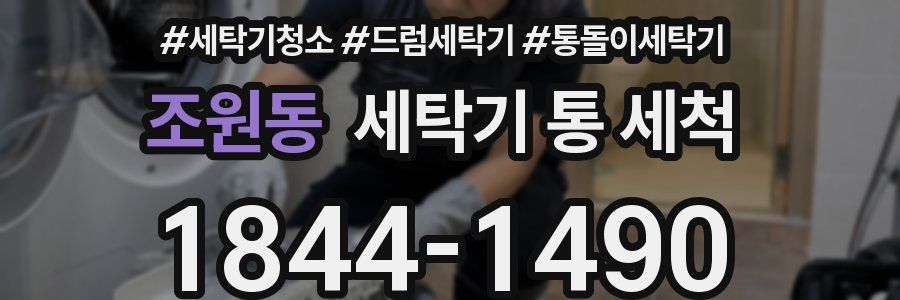 조원동 세탁기 통 세척