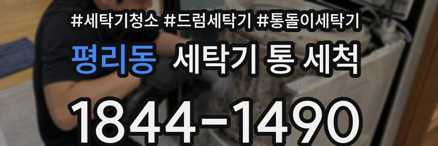 평리동 세탁기 통 세척
