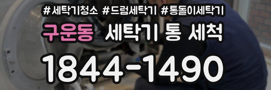 구운동 세탁기 통 세척
