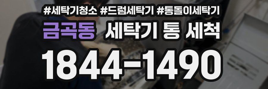 금곡동 세탁기 통 세척