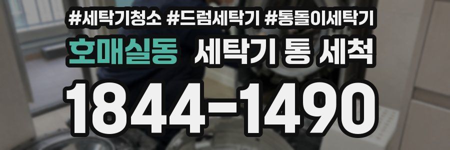호매실동 세탁기 통 세척