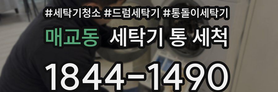 매교동 세탁기 통 세척
