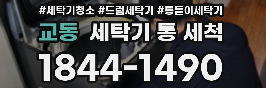 교동 세탁기 통 세척