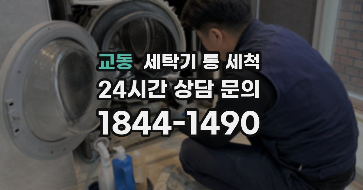 교동 세탁기 통 세척