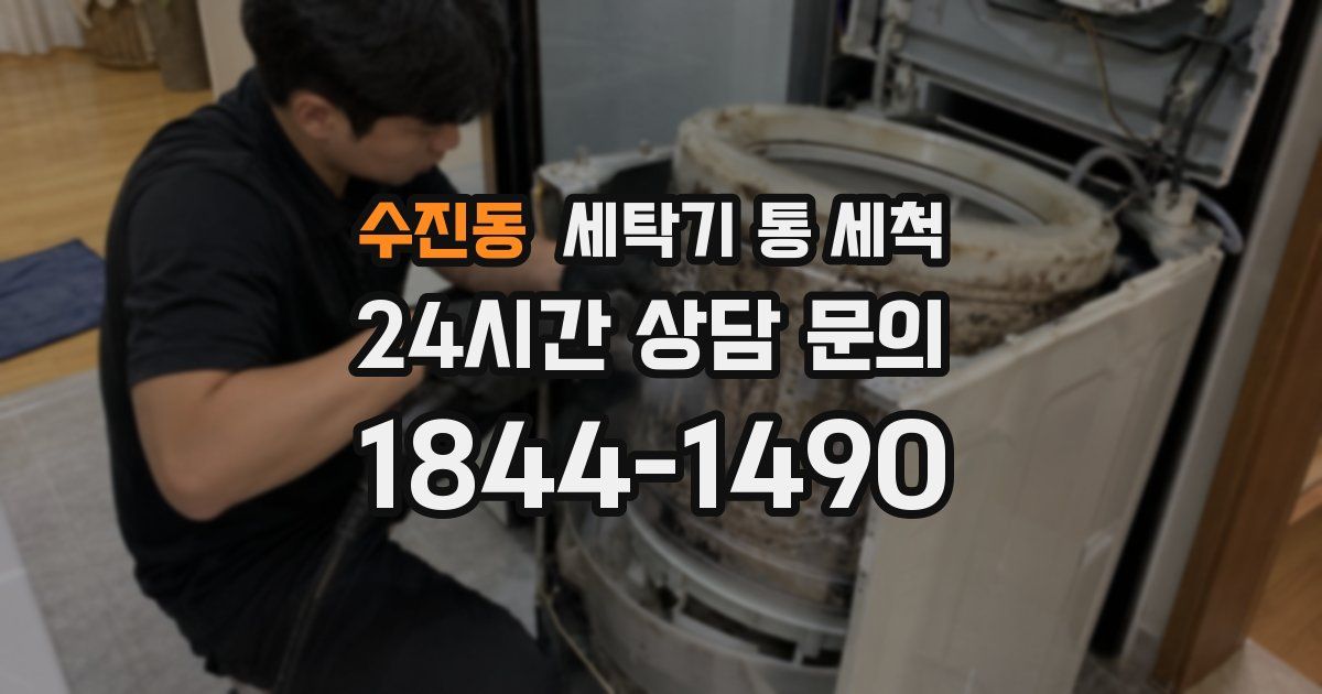 수진동 세탁기 통 세척