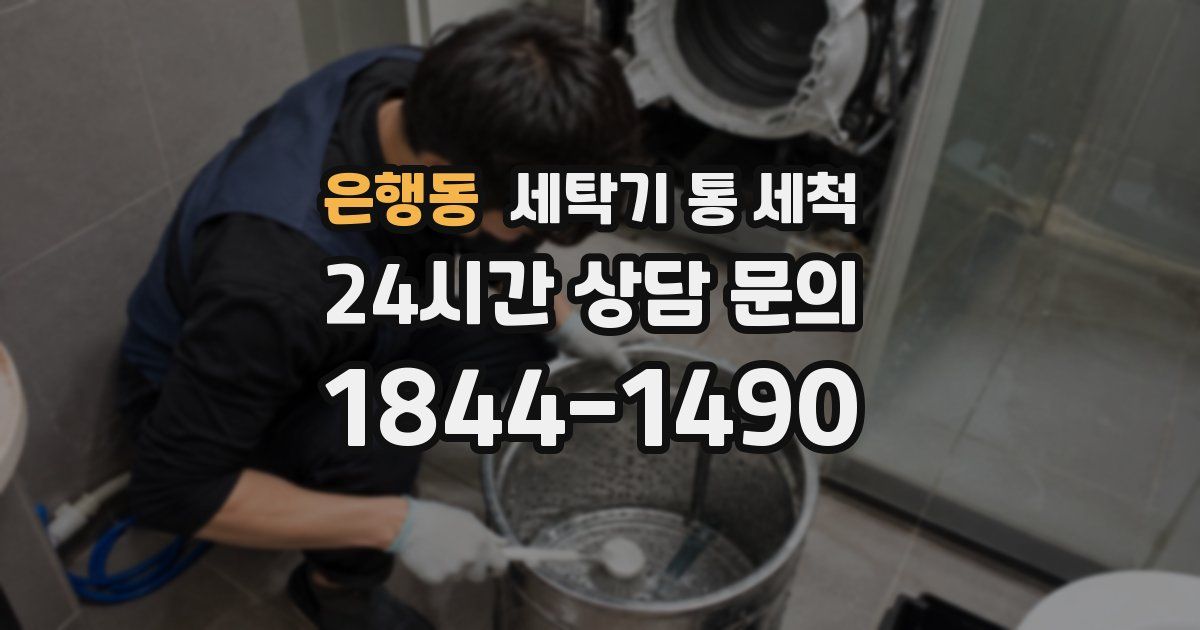 은행동 세탁기 통 세척